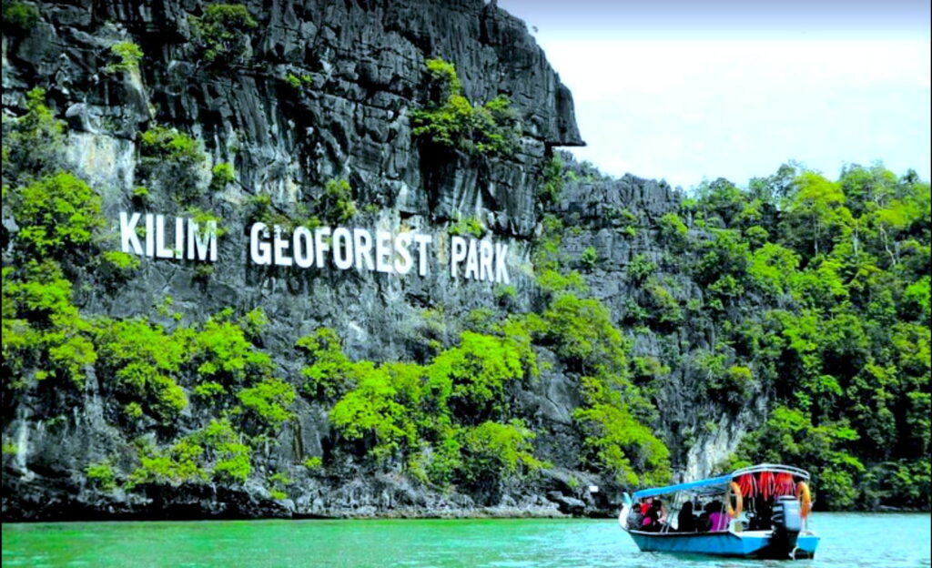 mangrove tour langkawi